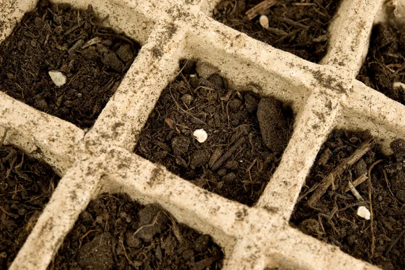 Anzuchtschale mit Erde und Samen